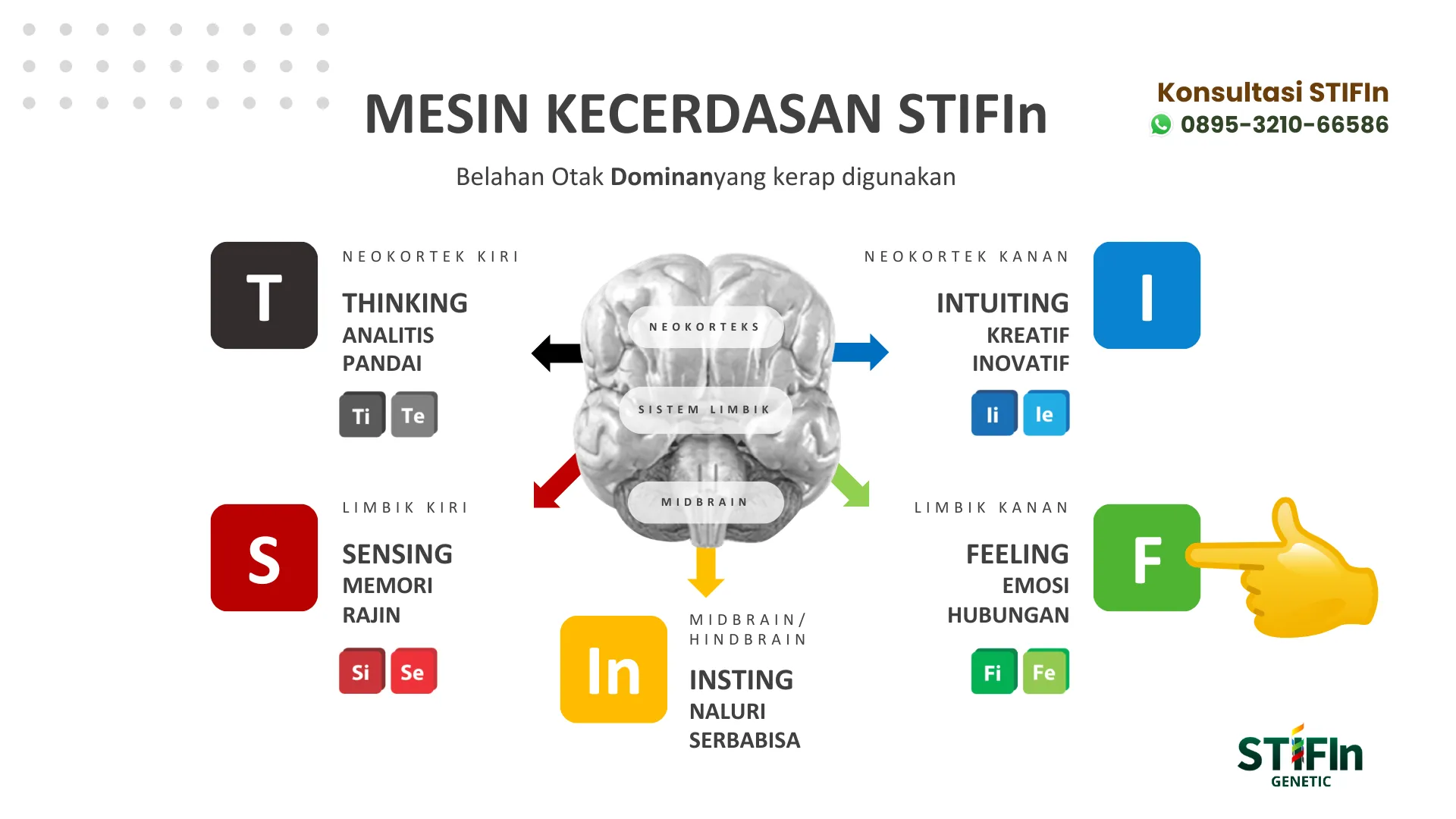 Mesin Kecerdasan STIFIn - Feeling