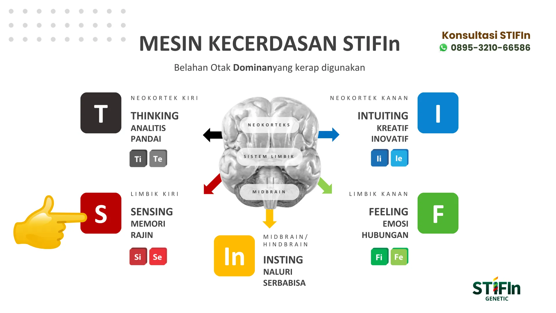 Mesin Kecerdasan STIFIn - Sensing